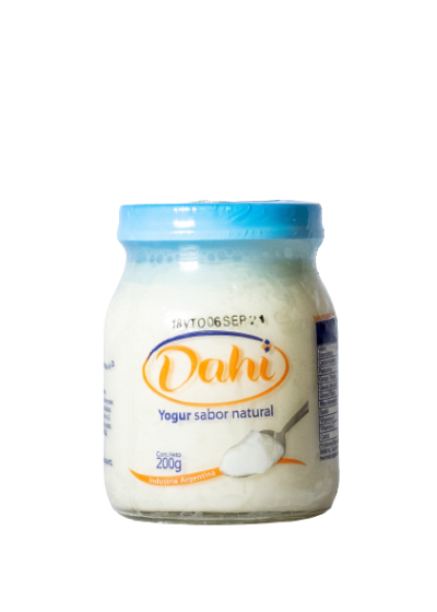 Yogurt Natural Dahi